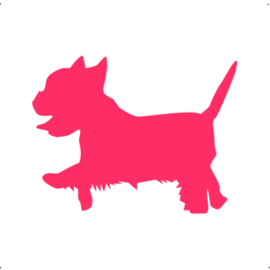 Yorki  kutya autó matrica pink  #173