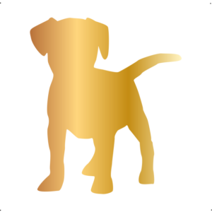 Beagle kutya autó matrica arany #179