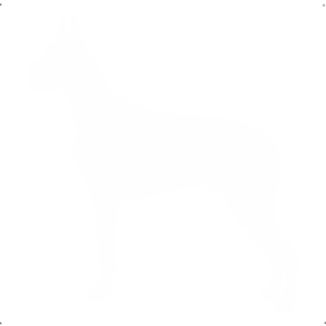 Dobermann kutya autó matrica fehér #182