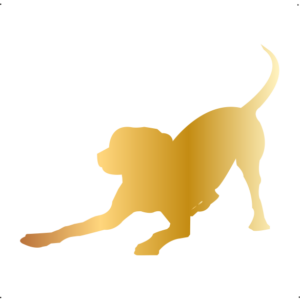 Játékos kutya autó matrica arany #189
