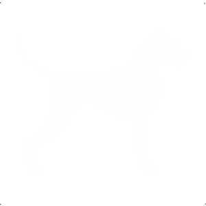 Német Dog kutya autó matrica fehér #192