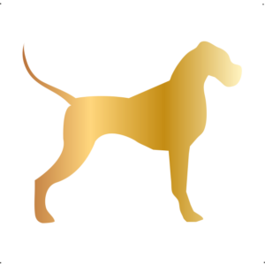 Német Dog kutya autó matrica arany #194