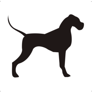 Német Dog kutya autó matrica fekete #191