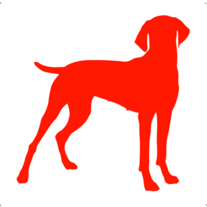Vizsla kutya autó matrica piros #205