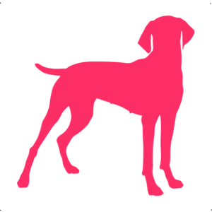 Vizsla kutya autó matrica pink #203
