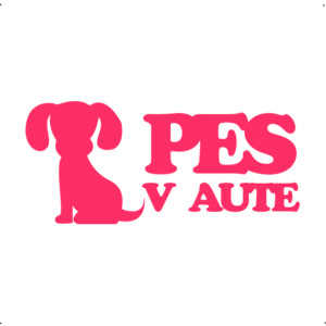 Pes Vaute(kutya) autó matrica pink #248